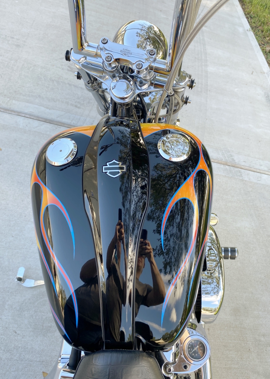 2001 Harley Davidson FXST Softail Standard