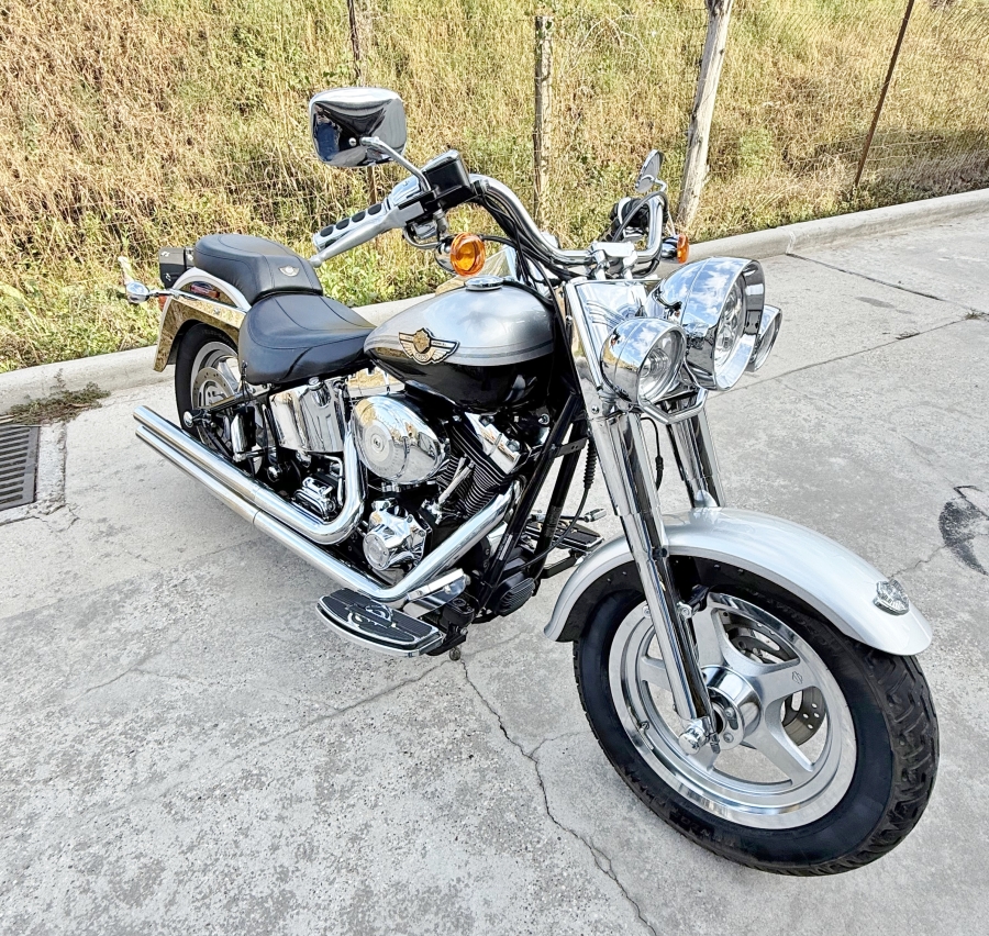 2003 Harley Davidson Fat Boy Anniversary FLSTF
