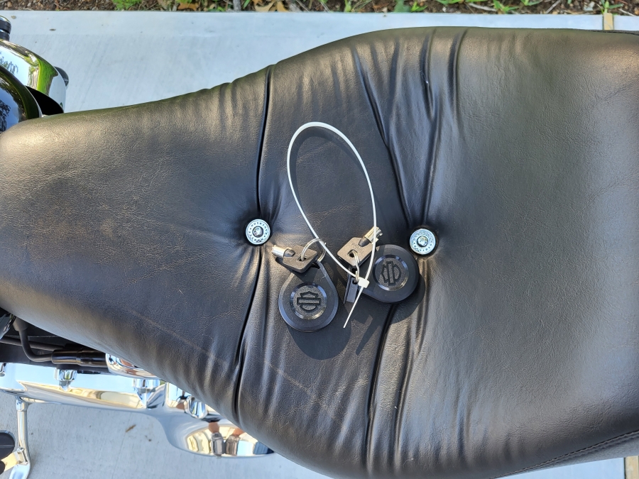 2010 FXSTC FX Softail Custom